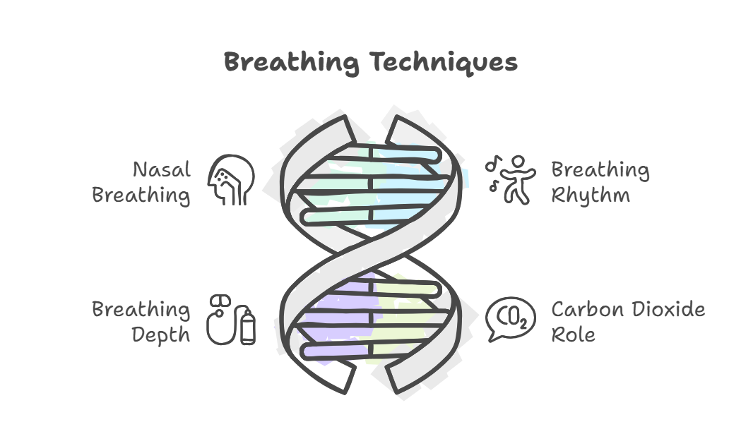 私たちがすべき正しい呼吸とは