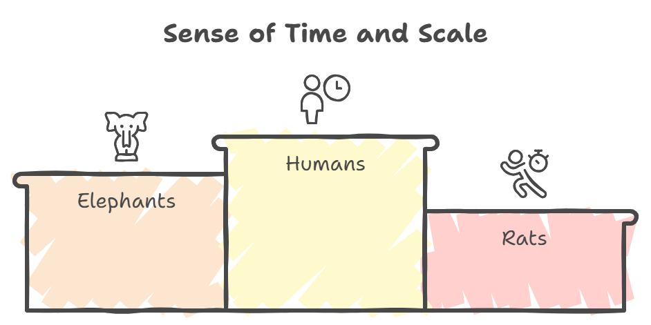 人間の時間感覚と動物のスケール感